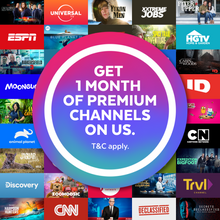 Load image into Gallery viewer, Fetch Mighty 4 (PVR TV Streaming Set Top Box)
